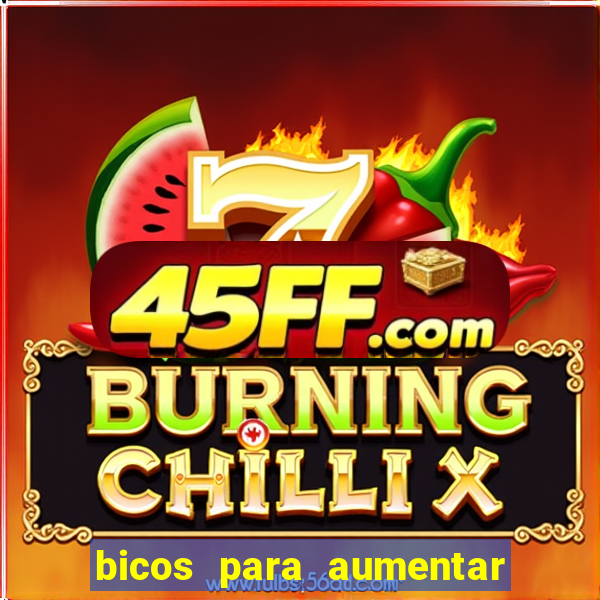 bicos para aumentar a renda